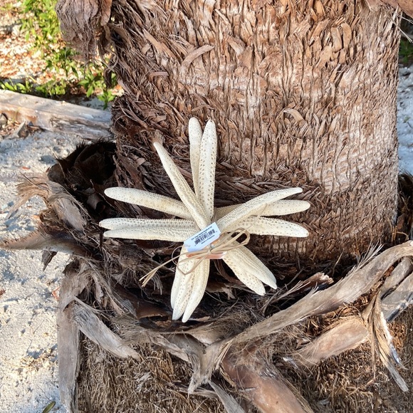 STARFISH set of 3 , GREAT DECOR , looks good ANYWHERE!!🌴🦀🦑 - Picture 8 of 10